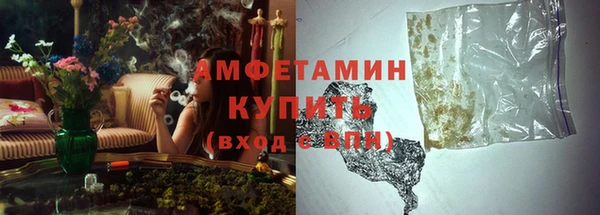 индика Медногорск