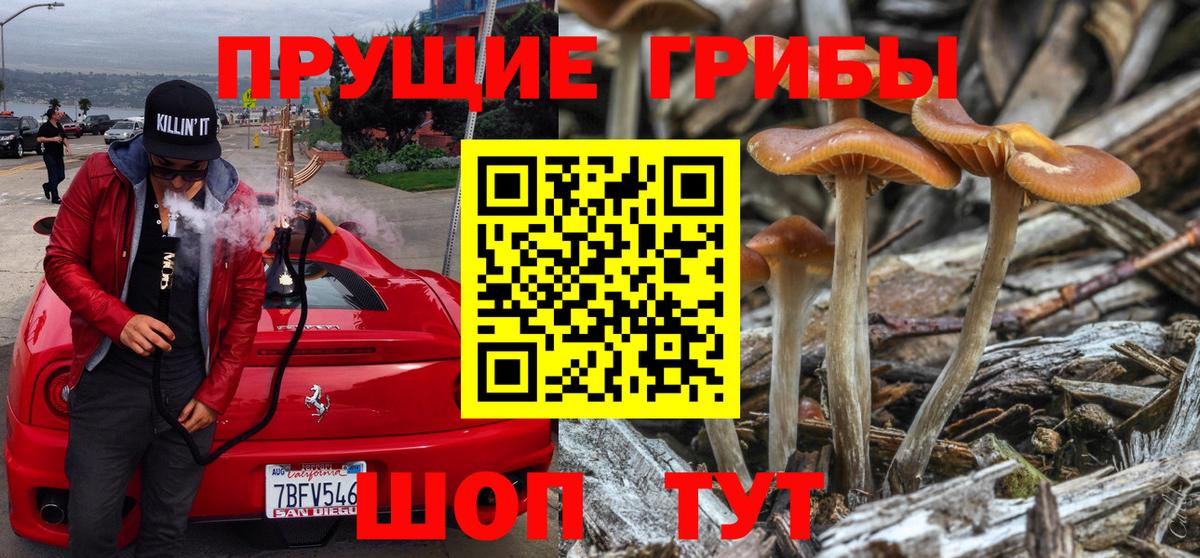 Галлюциногенные грибы ЛСД  Галлюциногенные грибы Magic Shrooms  Кизилюрт  сколько стоит  Вход с VPN 